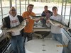 (10/10/2016) - Nice Striped Bass
